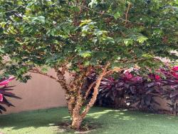 Venda em Residencial Ibi-Aram - Itupeva